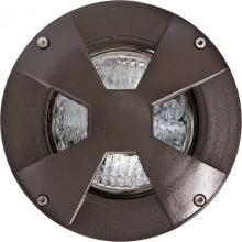 Dabmar LV307-BZ-SLV - WELL LIGHT W/DRIVEOVER CVR W/ SLV 35W PAR36 12V