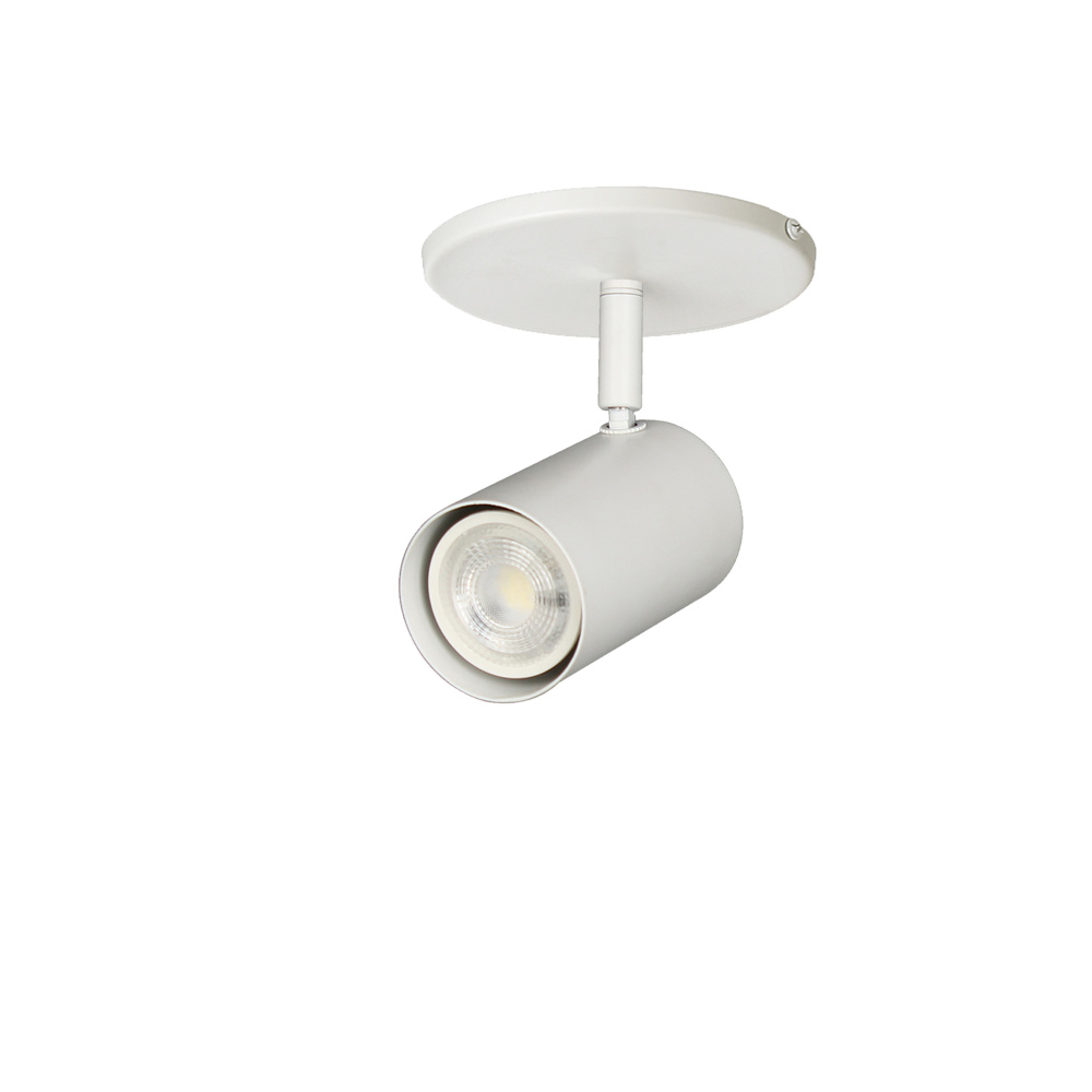 1 Light Spot Light in Matte White