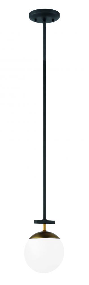 1 LIGHT MINI PENDANT